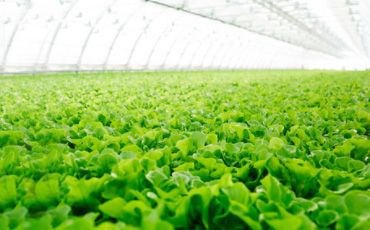農(nóng)業(yè)部等三部門：開展植保無人飛機應(yīng)用試點工作